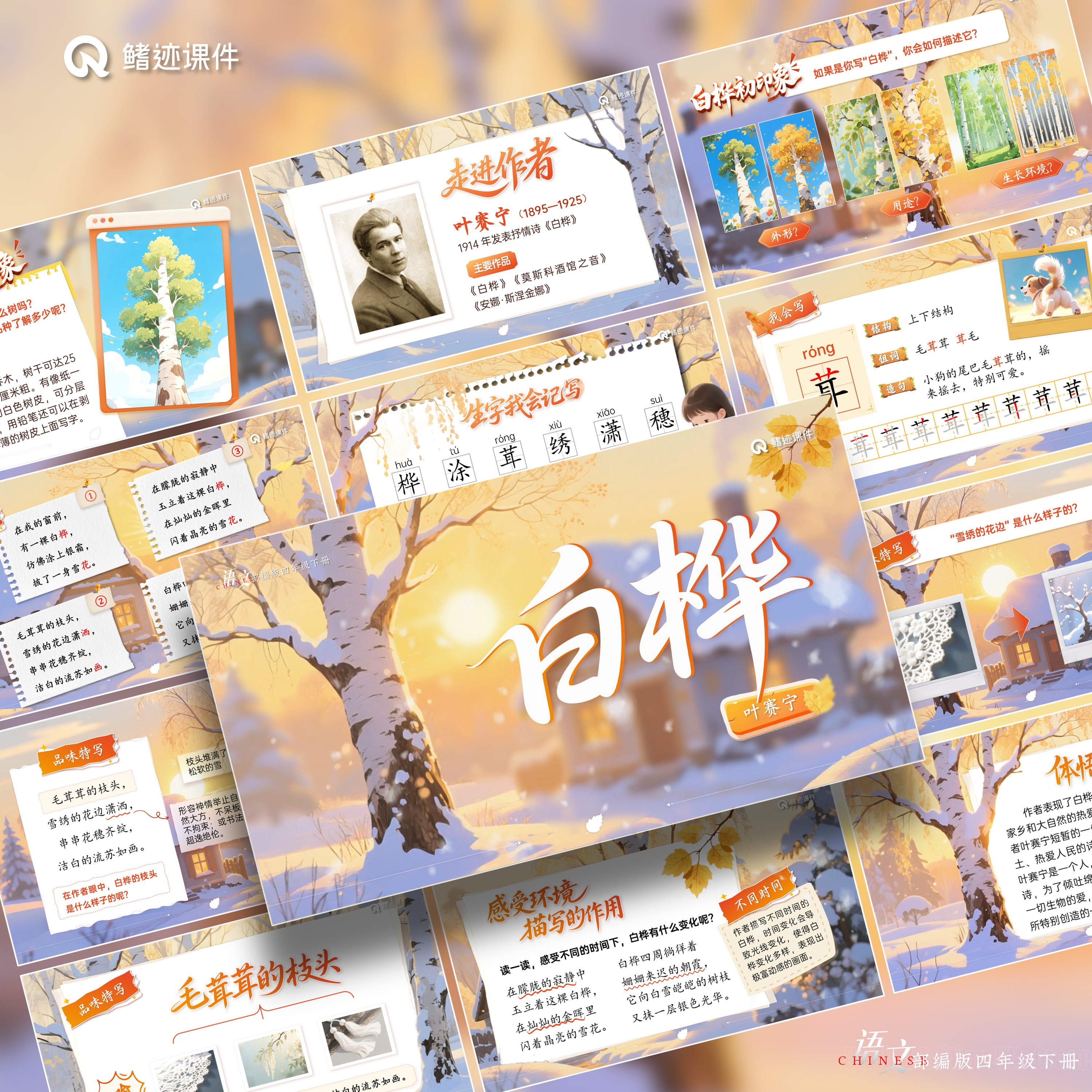 四下丨11《白桦》